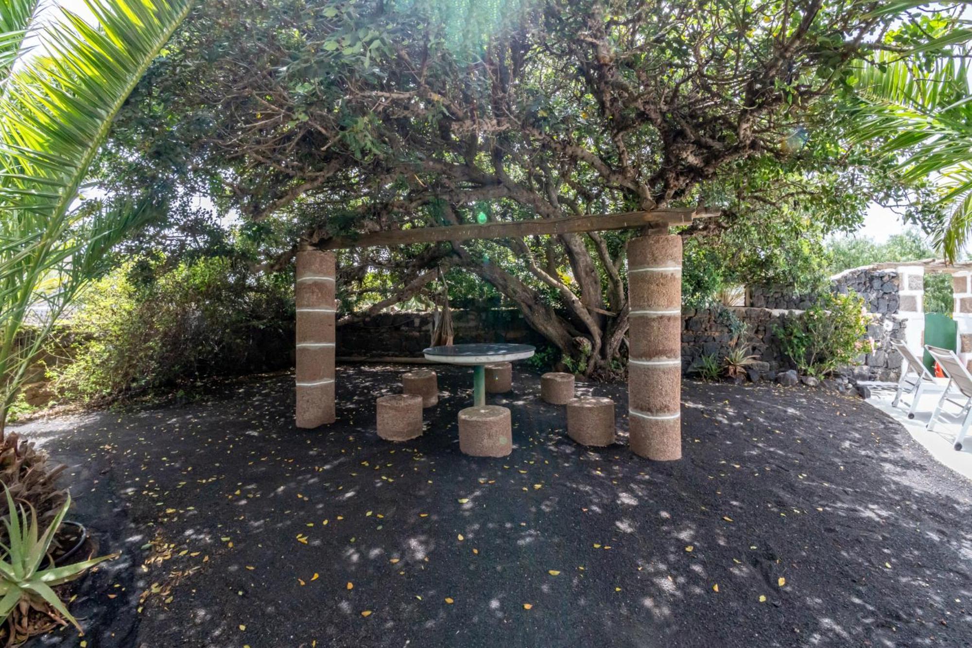 Conil Casa Timanfaya In Tegoyoヴィラ エクステリア 写真